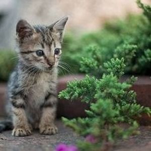 Meet your Posher, Darren